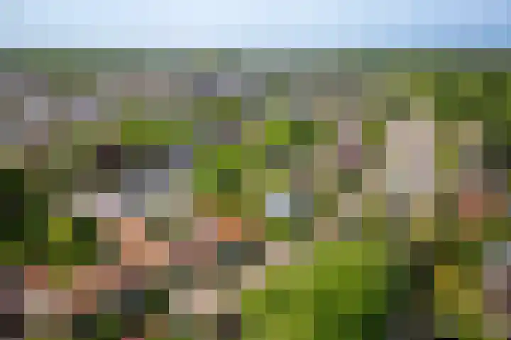 van Pallandtlaan 16 Sassenheim thumbnail 57