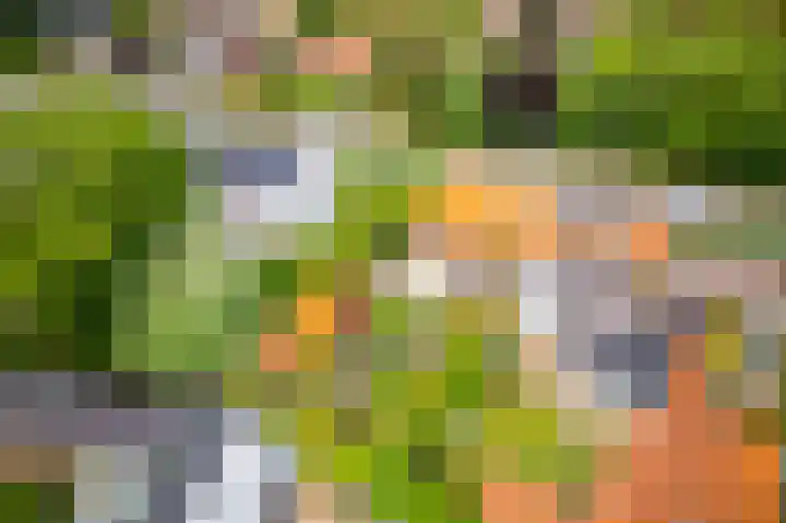 van Pallandtlaan 16 Sassenheim thumbnail 58