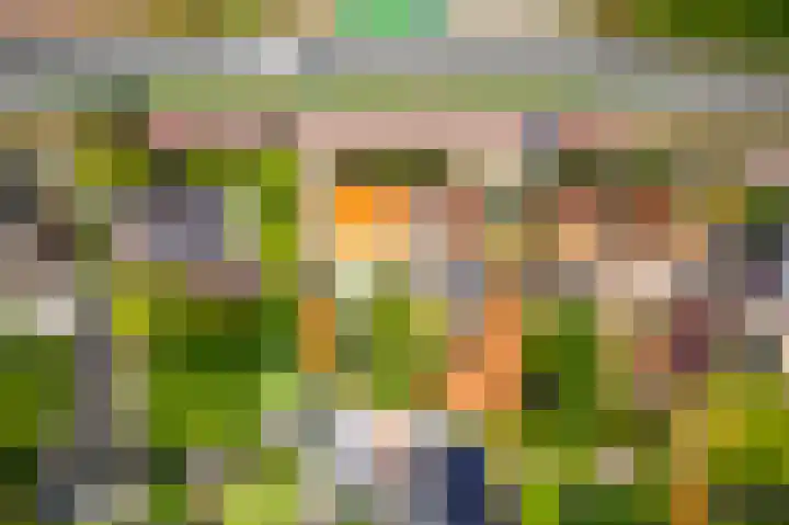 van Pallandtlaan 16 Sassenheim thumbnail 60