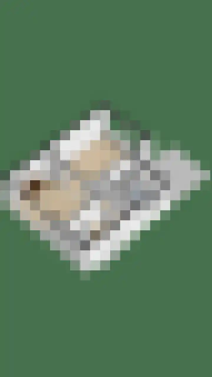 van Pallandtlaan 16 Sassenheim thumbnail 66