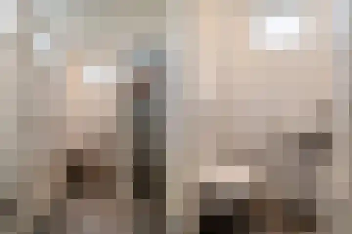 van Pallandtlaan 16 Sassenheim thumbnail 7