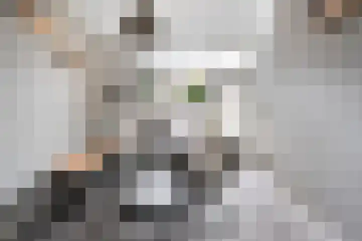 van Pallandtlaan 28 Coevorden thumbnail 11