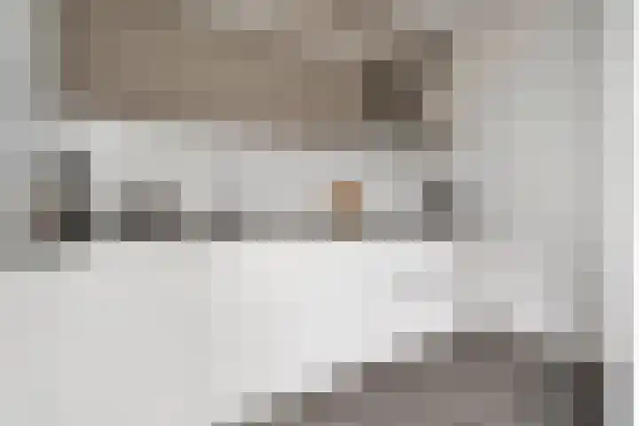 van Pallandtlaan 28 Coevorden thumbnail 12