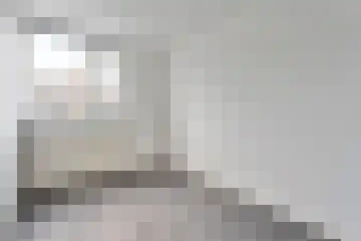 van Pallandtlaan 28 Coevorden thumbnail 21