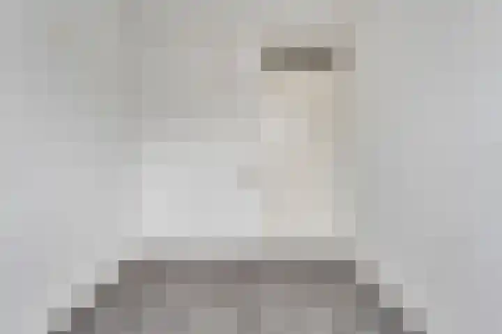 van Pallandtlaan 28 Coevorden thumbnail 22