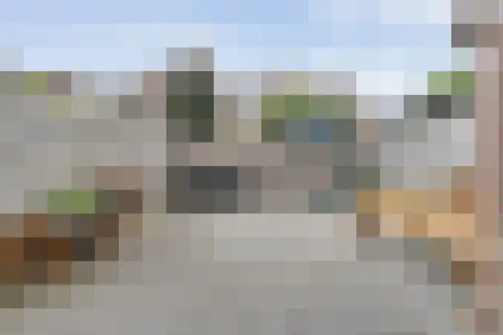 van Pallandtlaan 28 Coevorden thumbnail 27