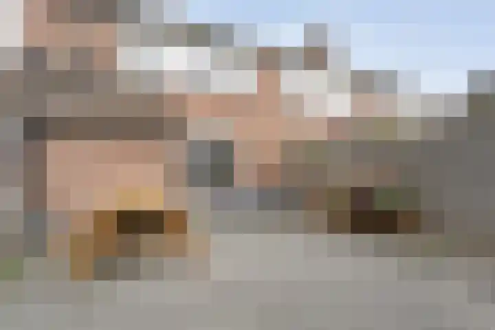 van Pallandtlaan 28 Coevorden thumbnail 30