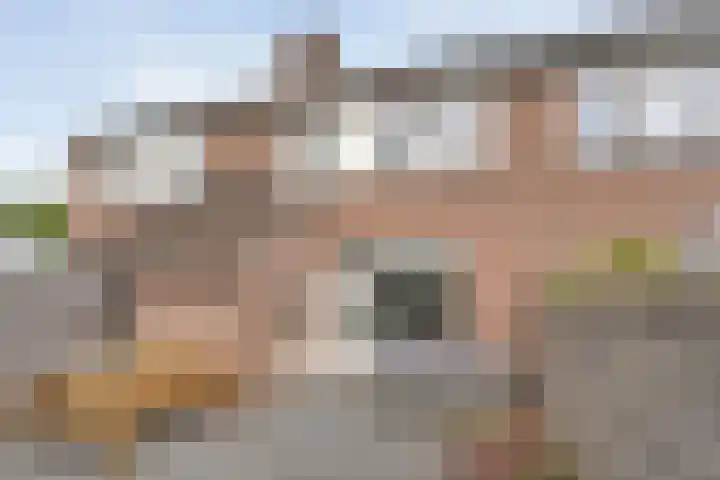 van Pallandtlaan 28 Coevorden thumbnail 31
