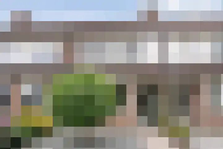 van Pallandtlaan 28 Coevorden thumbnail 38