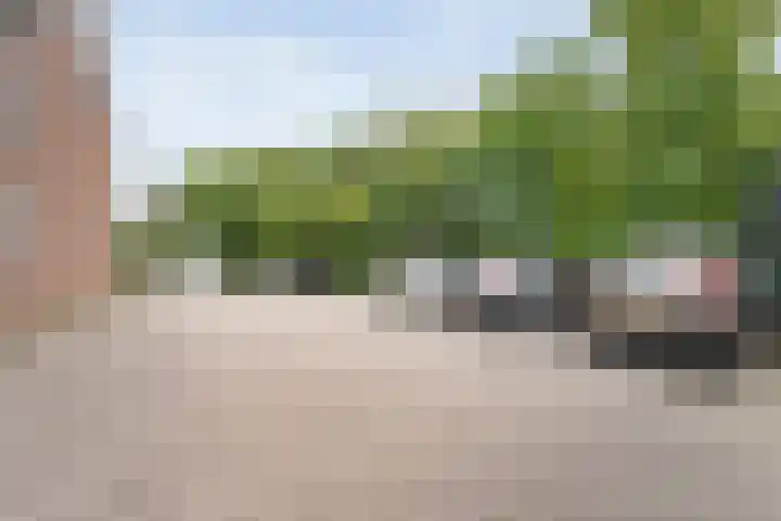 van Pallandtlaan 28 Coevorden thumbnail 6