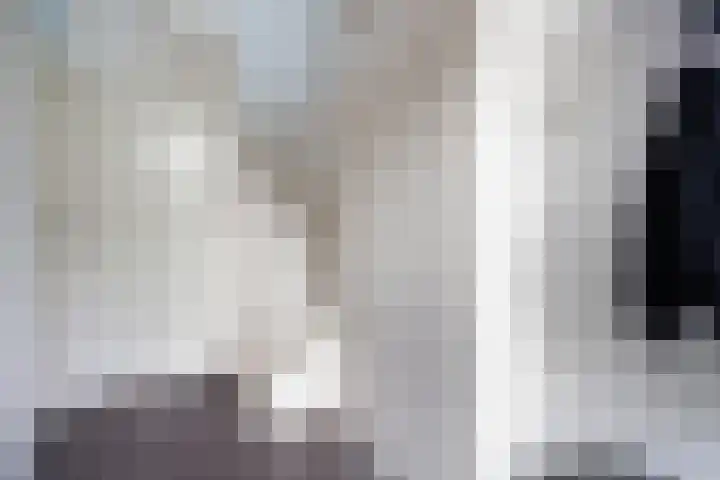van Pallandtlaan 28 Coevorden thumbnail 7