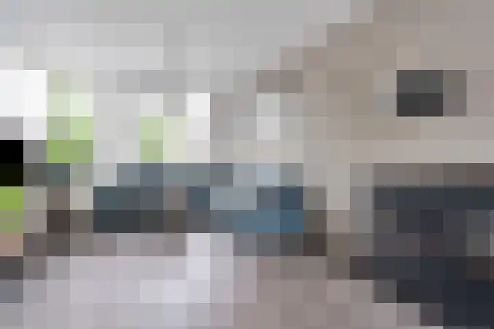 van Pallandtlaan 28 Coevorden thumbnail 9
