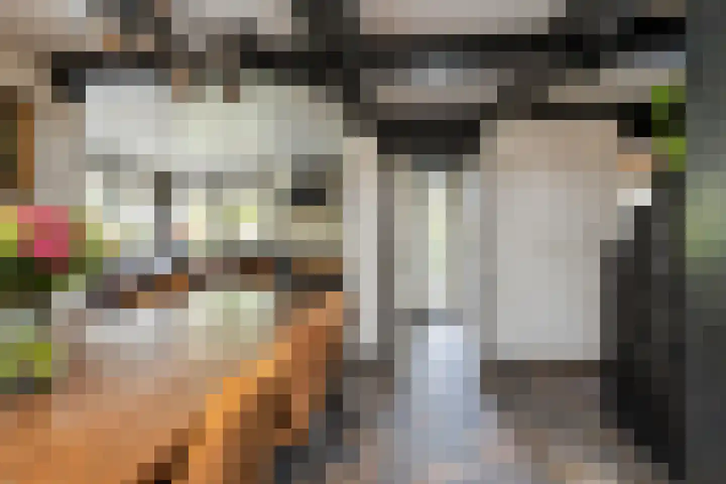van Pallandtlaan 37 Wezep thumbnail 10
