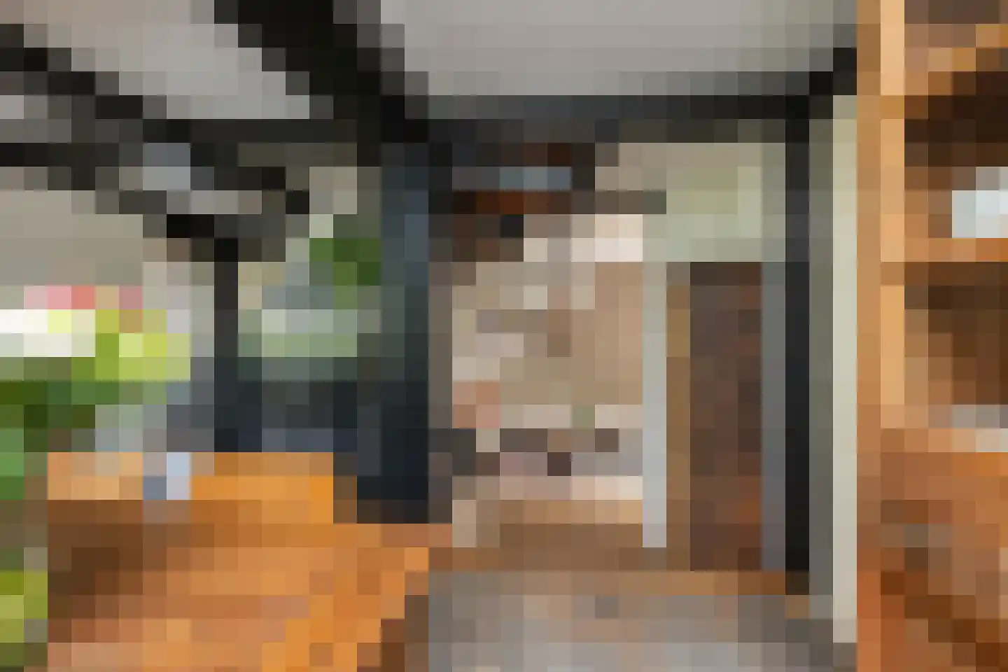 van Pallandtlaan 37 Wezep thumbnail 12