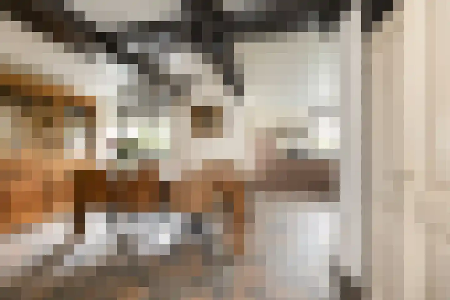 van Pallandtlaan 37 Wezep thumbnail 20