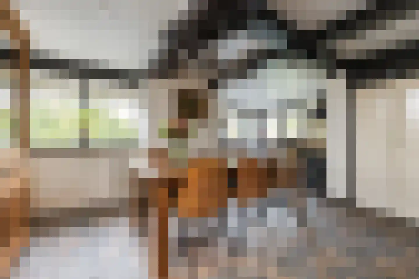 van Pallandtlaan 37 Wezep thumbnail 21