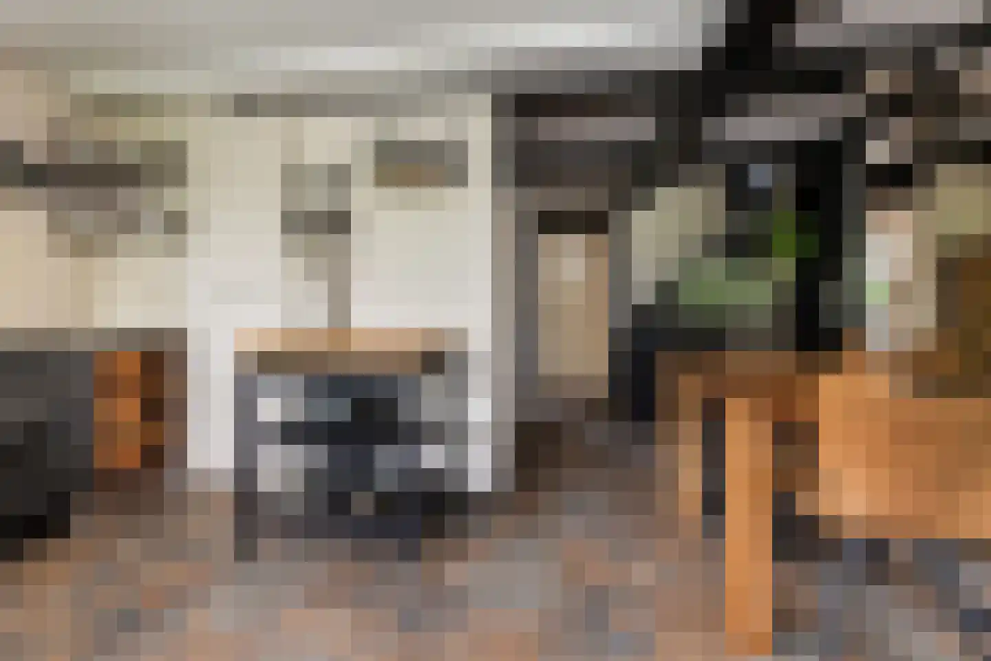 van Pallandtlaan 37 Wezep thumbnail 24