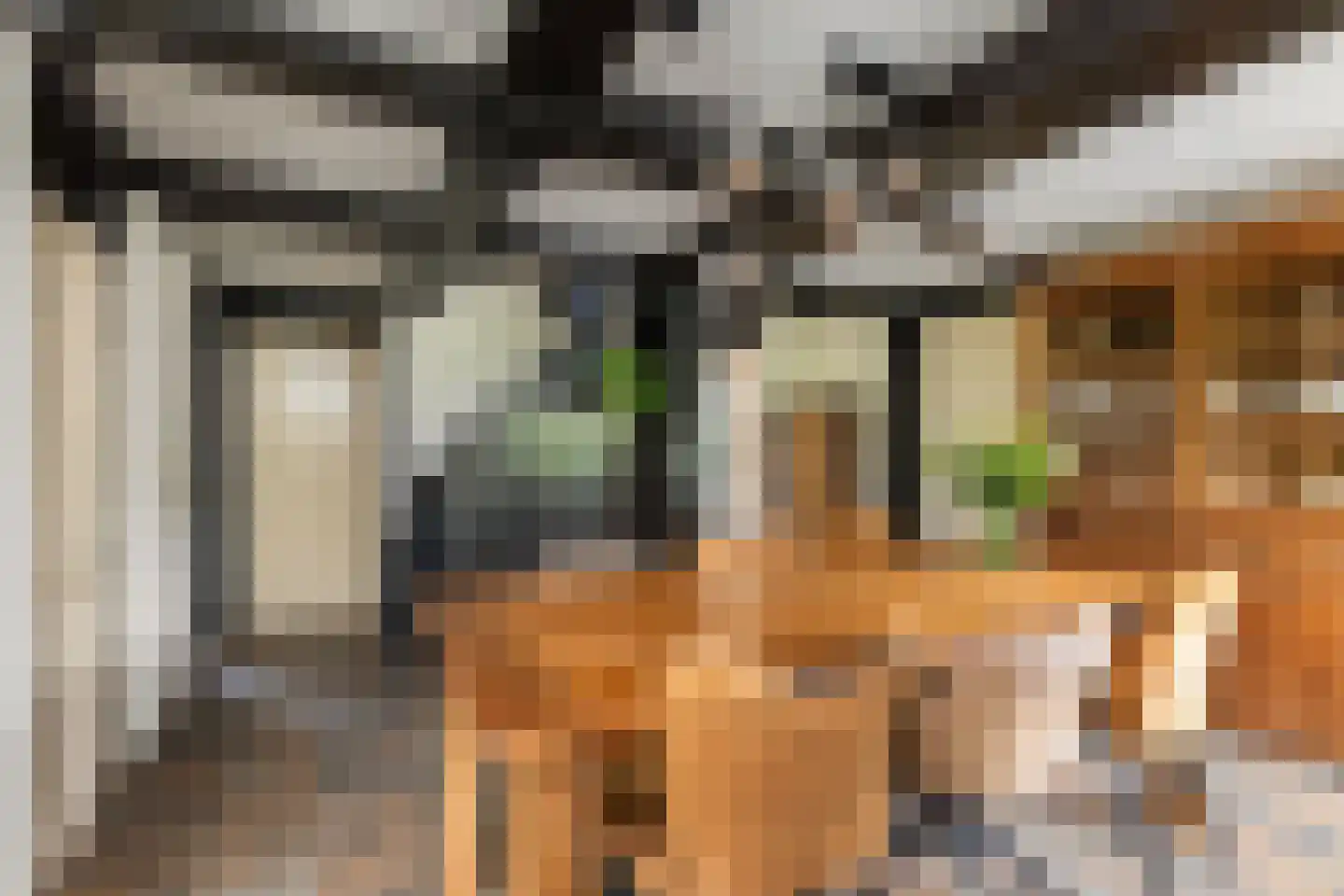 van Pallandtlaan 37 Wezep thumbnail 25