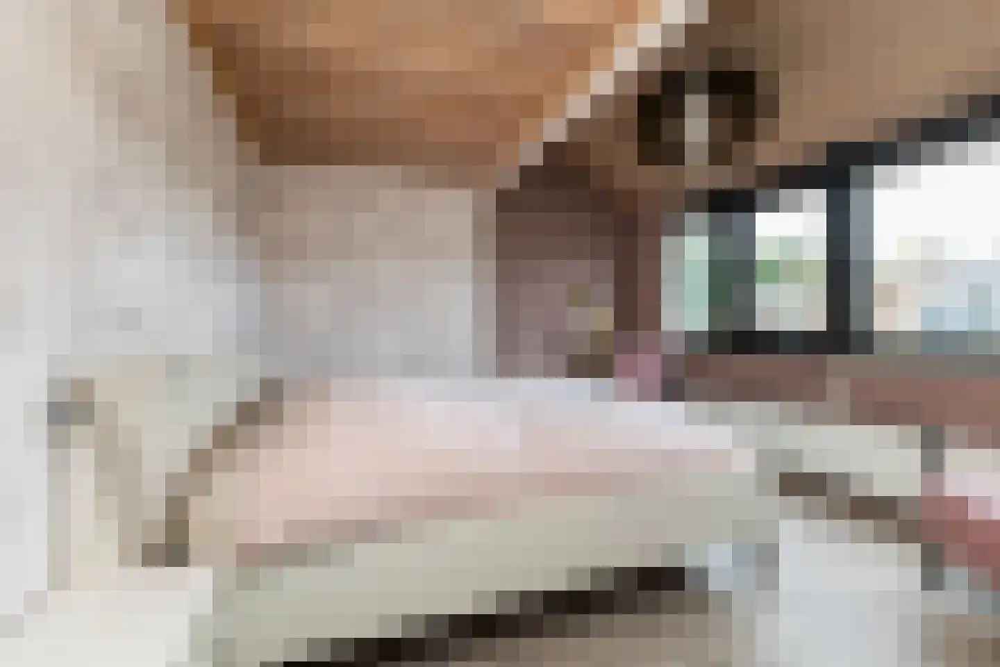 van Pallandtlaan 37 Wezep thumbnail 32