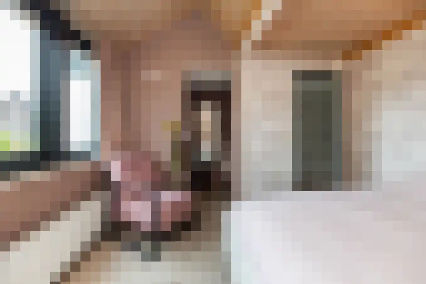 van Pallandtlaan 37 Wezep thumbnail 33