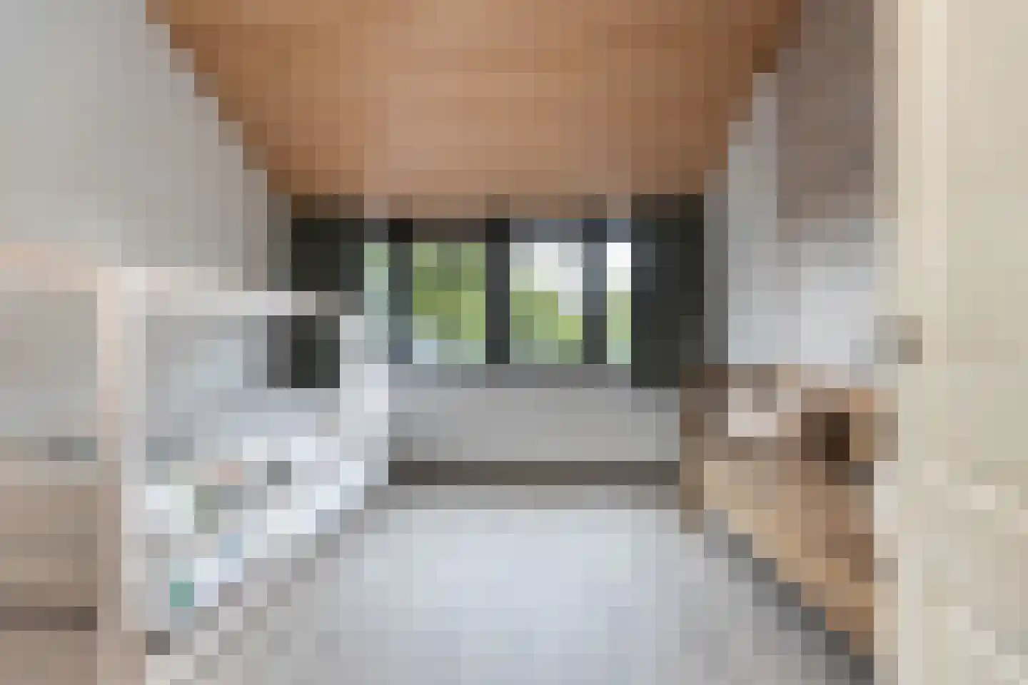 van Pallandtlaan 37 Wezep thumbnail 36