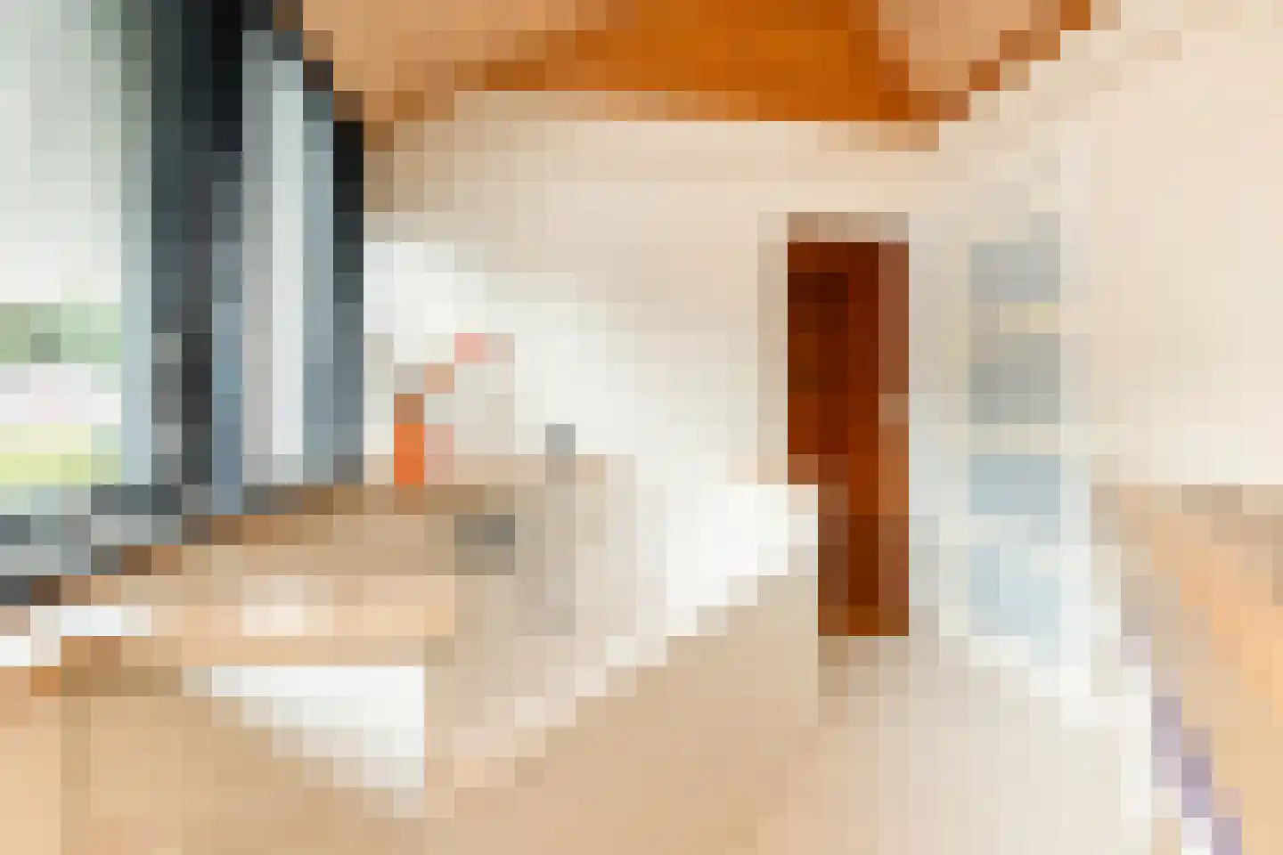 van Pallandtlaan 37 Wezep thumbnail 42