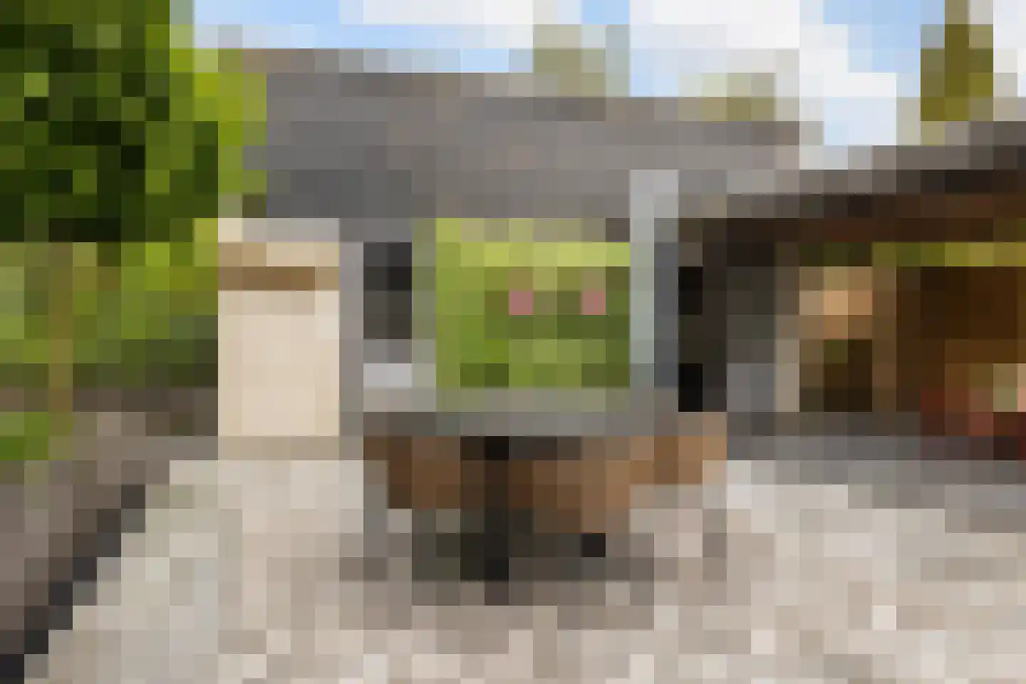 van Pallandtlaan 37 Wezep thumbnail 45
