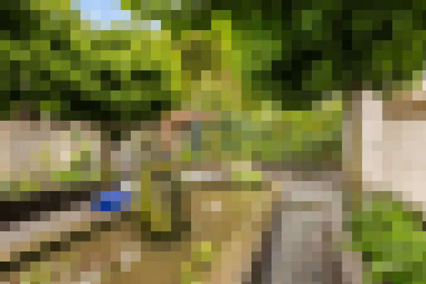 van Pallandtlaan 37 Wezep thumbnail 48