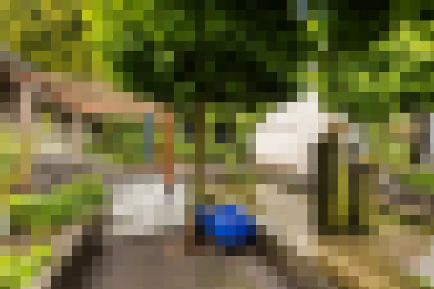van Pallandtlaan 37 Wezep thumbnail 49