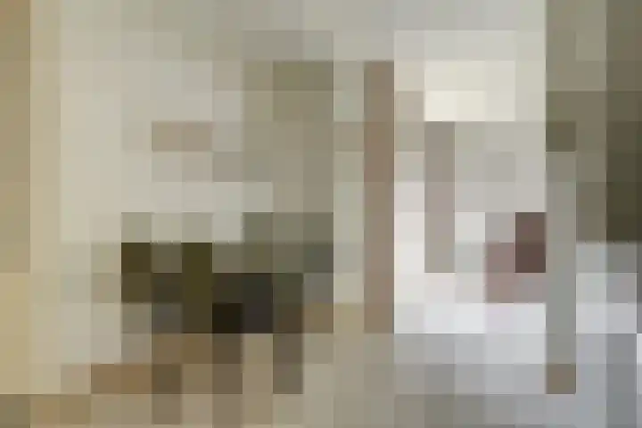 Van Pallandtlaan 4 Ermelo thumbnail 10