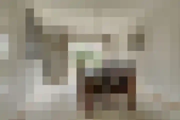 Van Pallandtlaan 4 Ermelo thumbnail 12