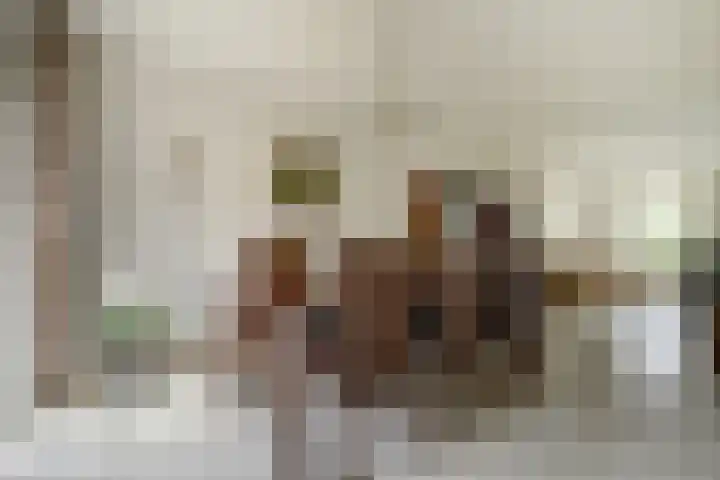 Van Pallandtlaan 4 Ermelo thumbnail 13