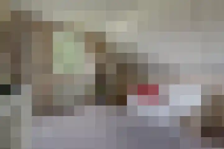 Van Pallandtlaan 4 Ermelo thumbnail 22