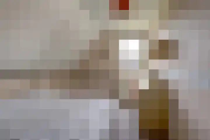 Van Pallandtlaan 4 Ermelo thumbnail 24