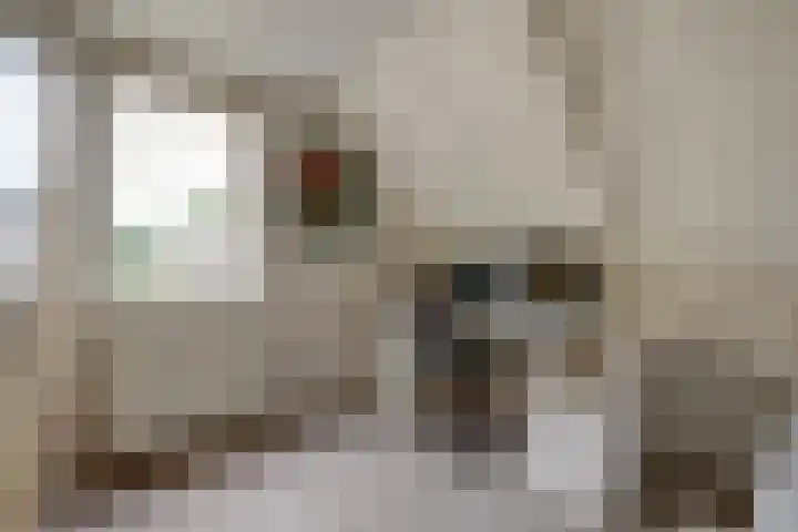 Van Pallandtlaan 4 Ermelo thumbnail 26