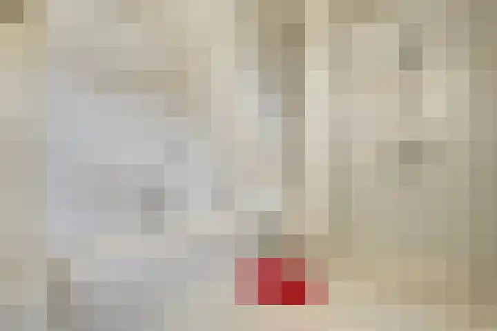 Van Pallandtlaan 4 Ermelo thumbnail 27