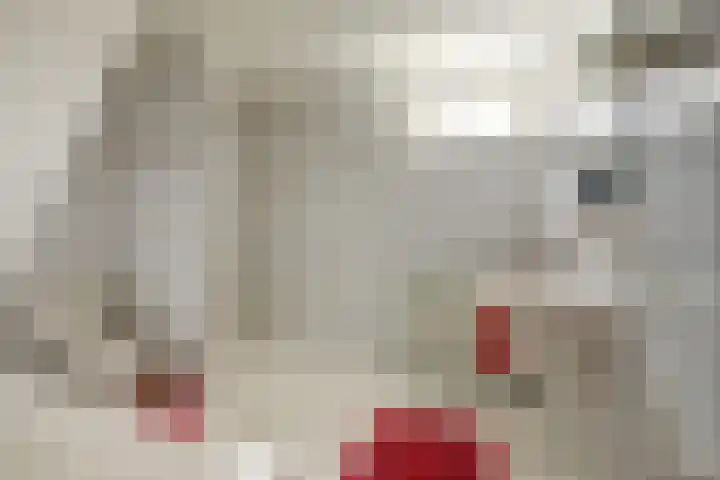 Van Pallandtlaan 4 Ermelo thumbnail 28