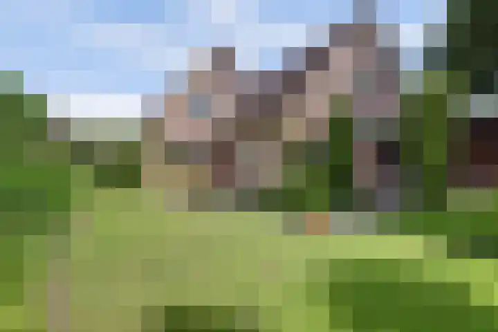 Van Pallandtlaan 4 Ermelo foto 3