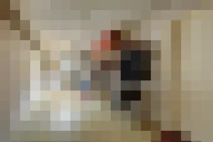 Van Pallandtlaan 4 Ermelo thumbnail 30