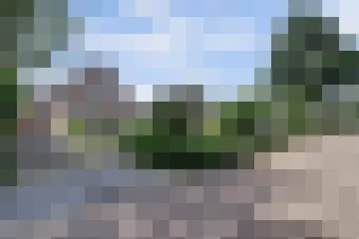 Van Pallandtlaan 4 Ermelo thumbnail 34