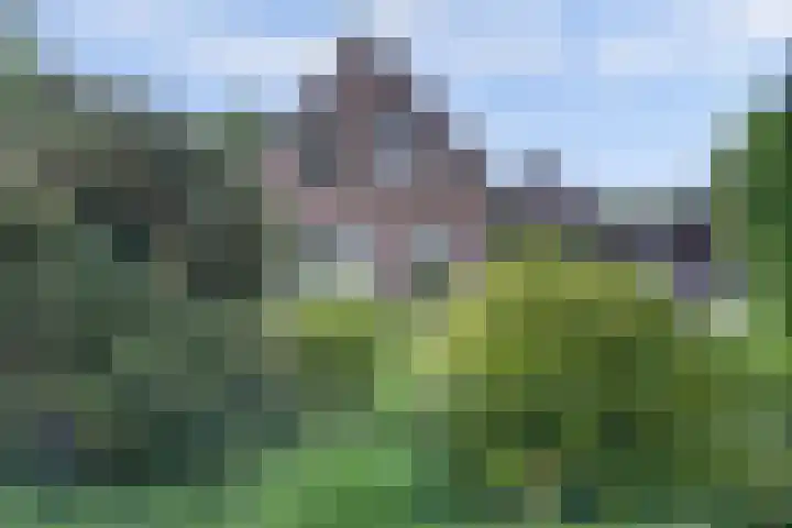 Van Pallandtlaan 4 Ermelo thumbnail 35