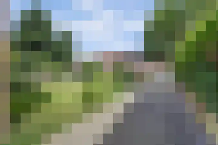 Van Pallandtlaan 4 Ermelo thumbnail 37