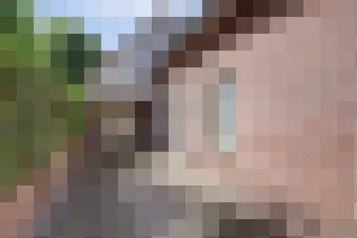 Van Pallandtlaan 4 Ermelo thumbnail 38