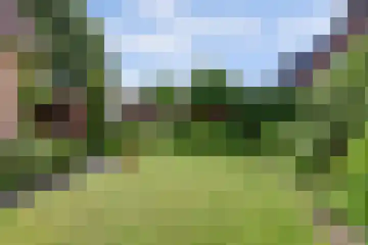 Van Pallandtlaan 4 Ermelo thumbnail 39