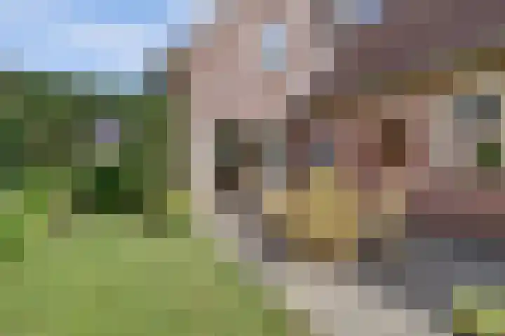 Van Pallandtlaan 4 Ermelo thumbnail 40