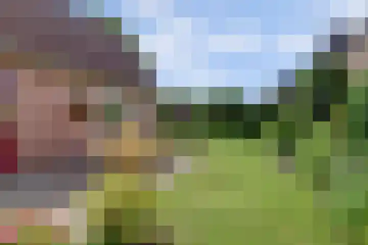 Van Pallandtlaan 4 Ermelo thumbnail 41