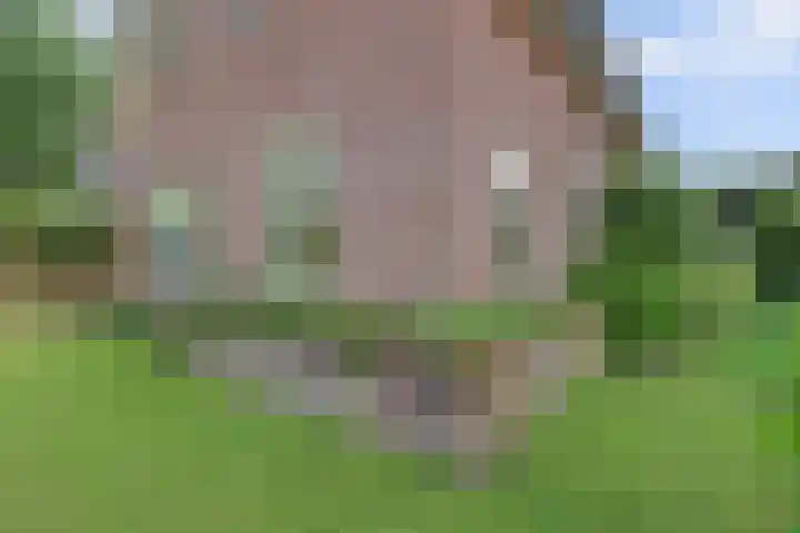 Van Pallandtlaan 4 Ermelo thumbnail 42
