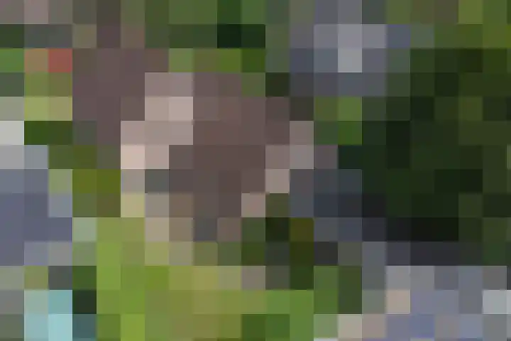 Van Pallandtlaan 4 Ermelo thumbnail 44