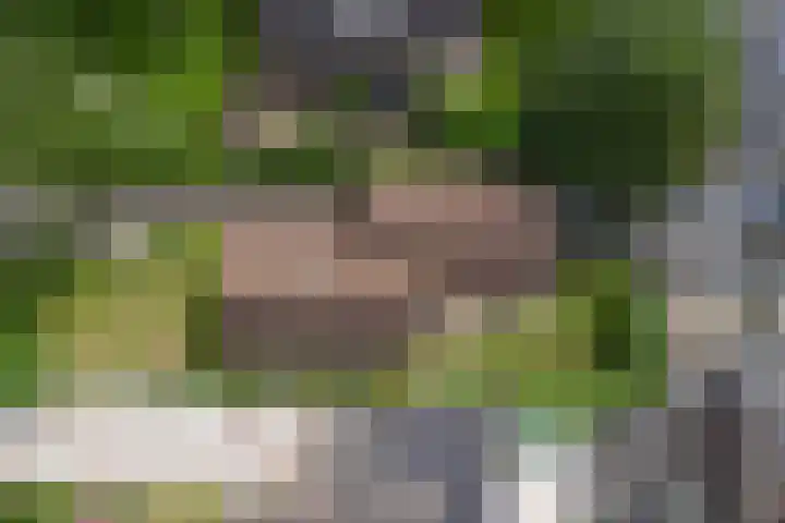 Van Pallandtlaan 4 Ermelo thumbnail 45