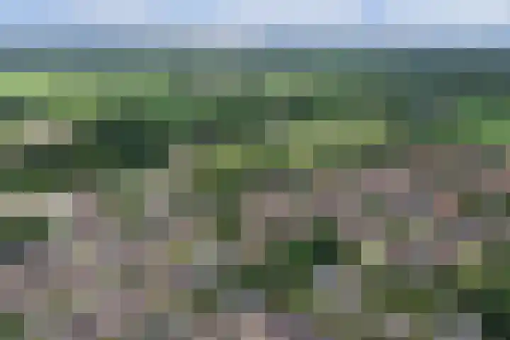 Van Pallandtlaan 4 Ermelo thumbnail 46